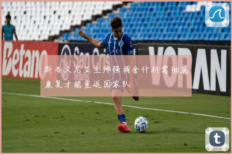 斯洛文尼亚主帅强调舍什科需彻底康复才能重返国家队